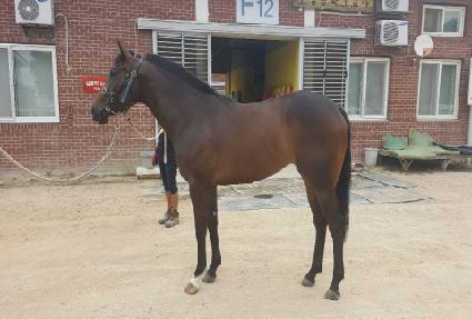 �ڸ��ȿ��� ����