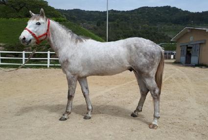 �������� ����