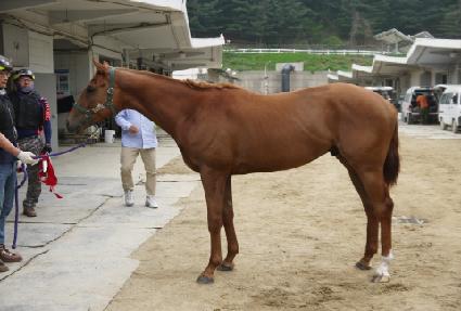 �Ѽ���Ʈ ����