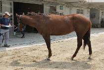 ���������� (LOVELY MAY) ����