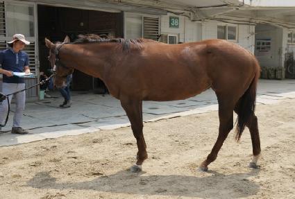 ���������� ����