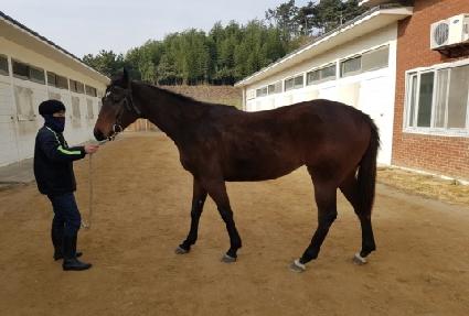 �����̸��� ����