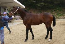 ������ (VERSION UP) ����