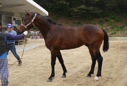 ������ ����