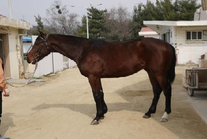 ũ���븮 ����