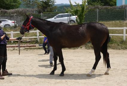 �ȵ����� ����