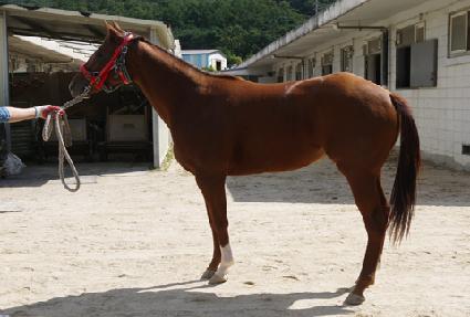 ������Ʈ ����