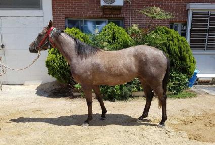 ��ٸ���ȭ ����