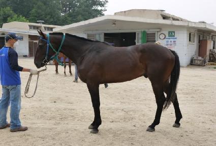 ���ǵ�����ĭ ����