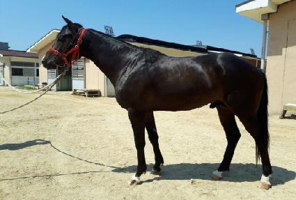 Ȳ�ݹ��� ����