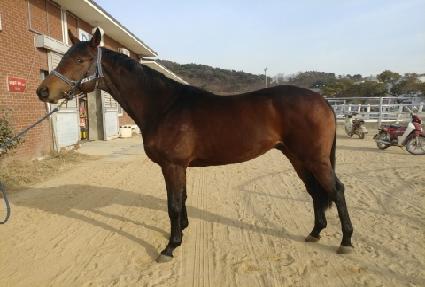 �����ѹ̼� ����