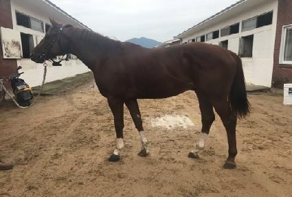 �̽��ͽ�Ĺ ����