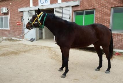 �ο���� ����