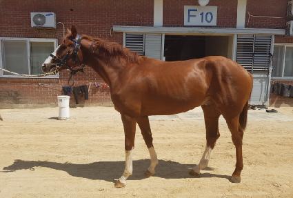 ���Ϸ�Ʈ��ũ ����