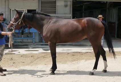 ���� ����