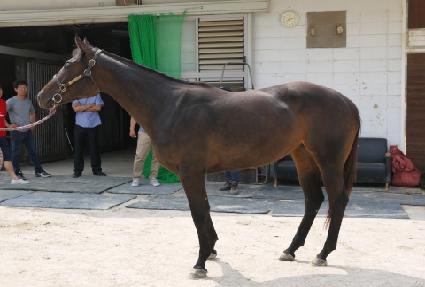 ���̾� ����