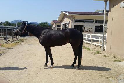 õ���ϻ� ����