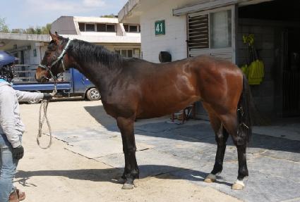 ���Ҿ ����