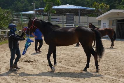 ������ ����