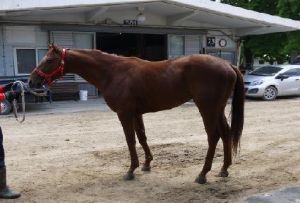 �¸����� ����