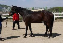 õ���� (CHEONGANG SEONG) ����