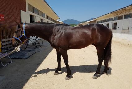 �ΰ���� ����