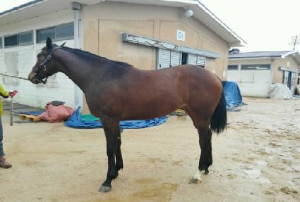 ���ΰ��� ����