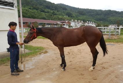 ���泪�� ����