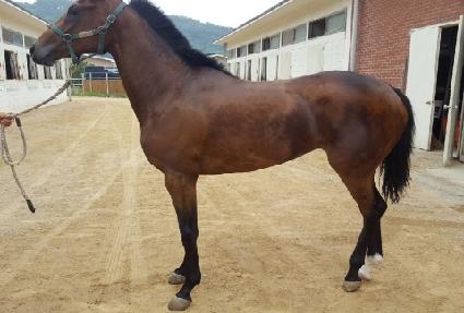 ����Ĺ ����