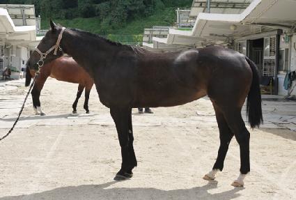 ��Ǵ����� ����