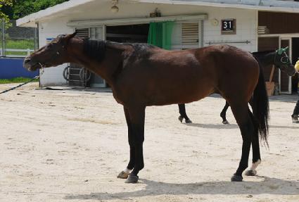 ������Ʈ ����