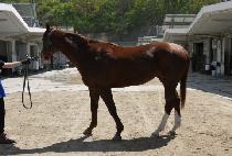 ��걺�� (BAEKSAN GUNJU) ����