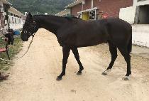 ��ī�̰��� (SKY GONGJU) ����