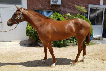 ��ȣ ����