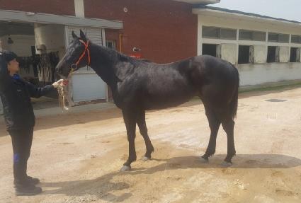 �½�ũ���� ����