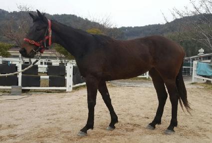 ����̰��� ����