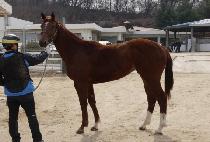 ��������Ƽ (P.K. PARTY) ����