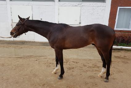 ������Ʈ�� ����