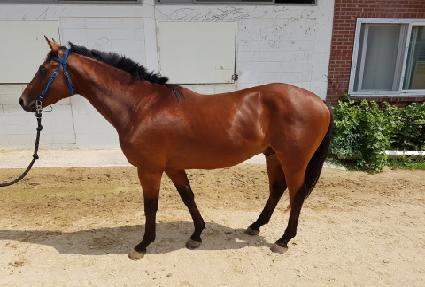 �򷹵����� ����