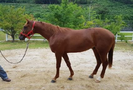 ���ν�ȭ ����