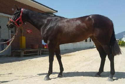 ���� ����