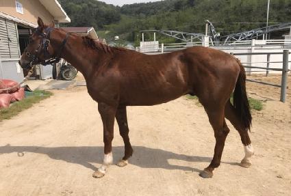 �������� ����