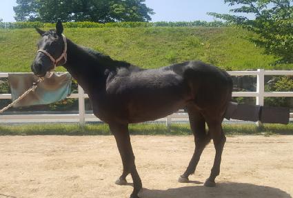 �帲Ĺ ����