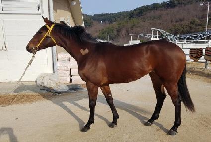 ���͹� ����