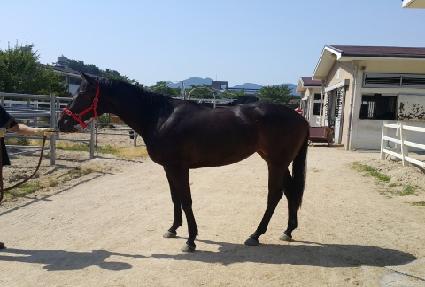 �̽�����Ʈ ����