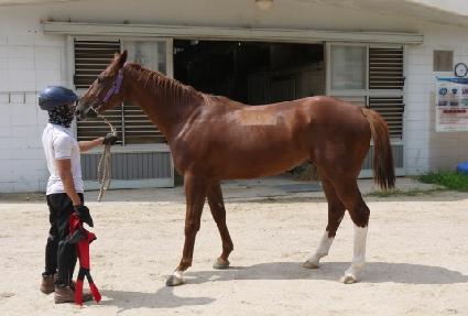 �������� ����