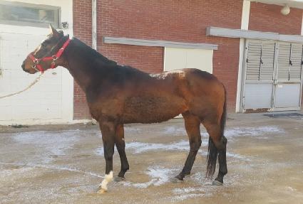 �����Ǳ�� ����