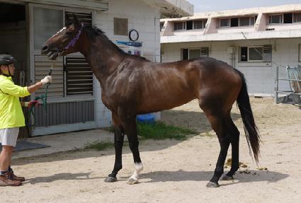 ���ֻ�� ����