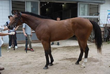 Ž�󿩽� ����