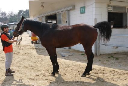 ���̿������� ����